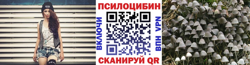 даркнет сайт  Томмот  Галлюциногенные грибы ЛСД 