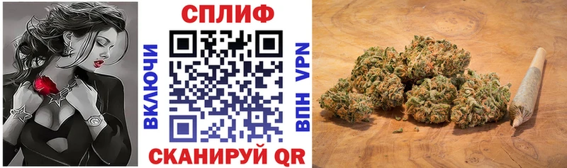 Бошки Шишки индика  Томмот 
